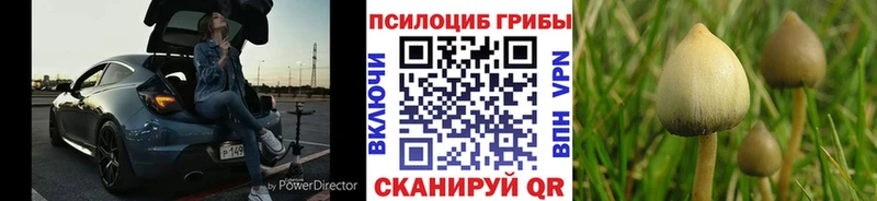 mega ссылки  купить закладку  Сосновка  Галлюциногенные грибы GOLDEN TEACHER 